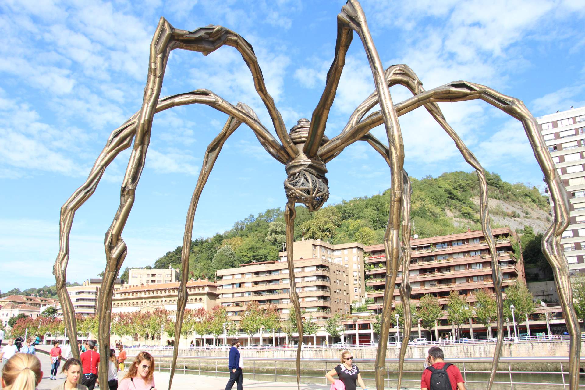 Bilbao Spinne Marma